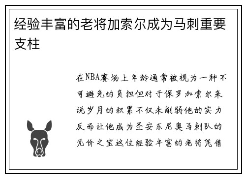 经验丰富的老将加索尔成为马刺重要支柱
